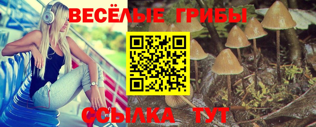 Вичуга  Галлюциногенные грибы мицелий  Вход с VPN  Галлюциногенные грибы мухоморы 