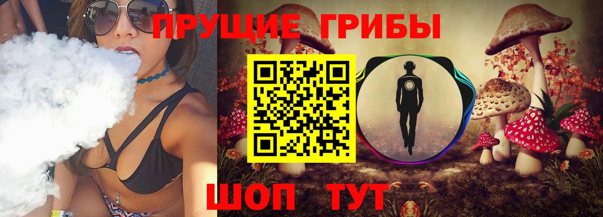 Галлюциногенные грибы Psilocybe Вичуга