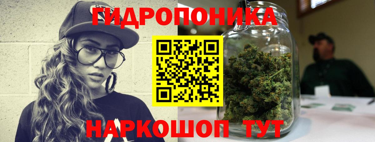 Конопля семена  Каннабис тримм  Вход с VPN  Каннабис сатива  Вичуга  Конопля ГИДРОПОН 